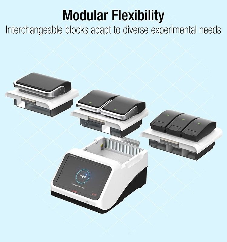 Gradient PCR Thermocycler